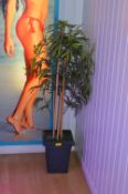 *Artificial Bamboo in Pot