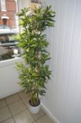 *Artificial Bamboo in Pot