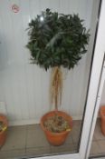 *Artificial Bay Tree in Terracotta Pot