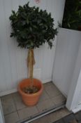 *Artificial Bay Tree in Terracotta Pot
