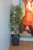 *Artificial Bamboo in Pot