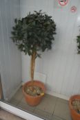 *Artificial Bay Tree in Terracotta Pot