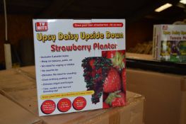 *Carton Containing Twenty Four Upsy Daisy Upside Down Strawberry Planters