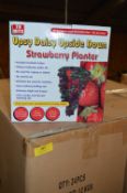 *Carton Containing Twenty Four Upsy Daisy Upside Down Strawberry Planters
