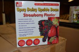 *Carton Containing Twenty Four Upsy Daisy Upside Down Strawberry Planters