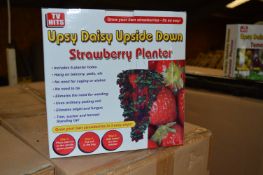 *Carton Containing Twenty Four Upsy Daisy Upside Down Strawberry Planters