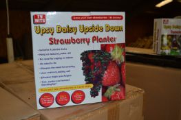 *Carton Containing Twenty Four Upsy Daisy Upside Down Strawberry Planters