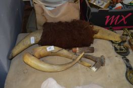 Two Pairs of Cow Horns