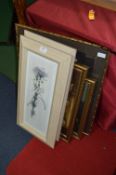 Four Framed Prints and a Watercolour Still Life