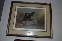 Framed Limited Edition Print 