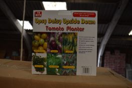 *Carton Containing 24 Upsy Daisy Tomato Planters