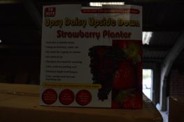 *Carton Containing 24 Upsy Daisy Upside Down Strawberry Planters