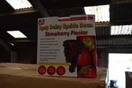 *Carton Containing 24 Upsy Daisy Upside Down Strawberry Planters