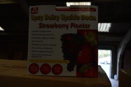 *Carton Containing 24 Upsy Daisy Upside Down Strawberry Planters