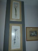 Pair of Framed Prints 