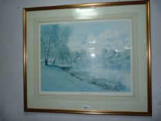Framed Print 
