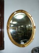 Gilt Framed Bevelled Edge Oval Wall Mirror