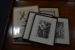 Selection of Framed Prints 