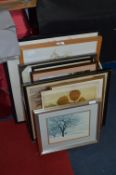 Selection of Framed Prints
