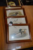 Set of Four Framed Prints