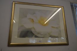 Large Gilt Framed Print 