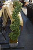 *Spiral Topiary in Planter
