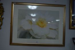 Large Gilt Framed Print 