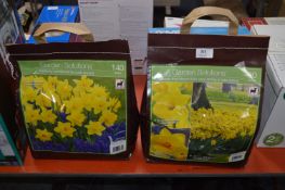 *Two Packs of 90 Trumpet Daffodil Bulbs