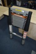 *Batavia Telescopic Ladder