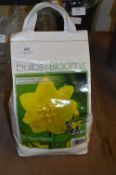*Bag of Fifty Narcissus Plant Bulbs