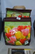 *Two Packs of 90 Tulip Bulbs (Sunset Blend)