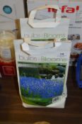 *Two Packs of 120 Muscari Bulbs