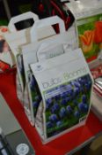*Three Packs of 120 Muscari Bulbs