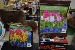 *Two Packs of 140 Tulip Flower Bulbs