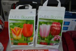 *Two Packs of 50 Tulip Bulbs (Salmon Dynasty and Apricot Delight)