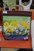 *Pack of 140 Trumpet Daffodil Bulbs