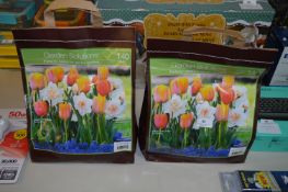 *Two Packs of 140 Tulip and Daffodil Bulbs