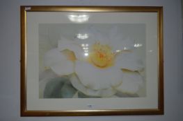 Gilt Framed Print 