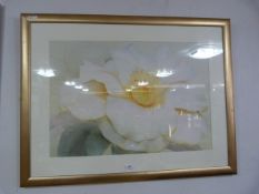 Gilt Framed Print 