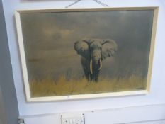 Framed 1960's David Shepherd Print 