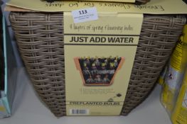 *Wicker Basket with Pre Planted Bulbs