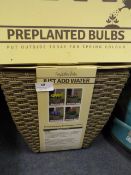*Wicker Basket with Pre Planted Bulbs