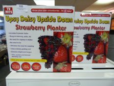 *Two Upsy Daisy Upside Down Strawberry Planters