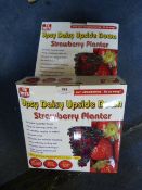 *Two Upsy Daisy Upside Down Strawberry Planters