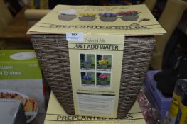 *Wicker Basket with Pre Planted Bulbs