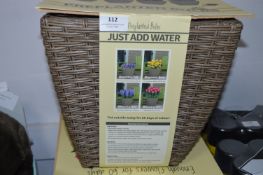 *Wicker Basket with Pre Planted Bulbs