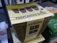 *Wicker Basket with Pre Planted Bulbs