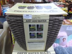 *Wicker Basket with Pre Planted Bulbs