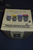 *Wicker Basket with Pre Planted Bulbs