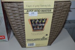 *Wicker Basket with Pre Planted Bulbs